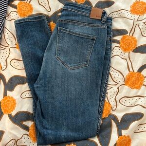 Dish Denim Skinny Jeans